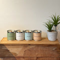 Signature Collection Set | Set of 4